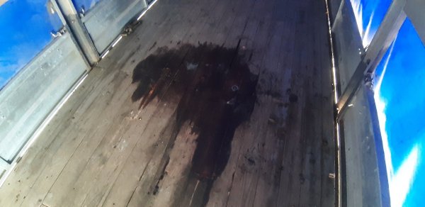 20261018_115841.jpg